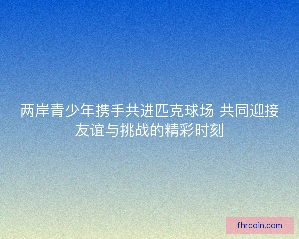 两岸青少年携手共进匹克球场 共同迎接友谊与挑战的精彩时刻